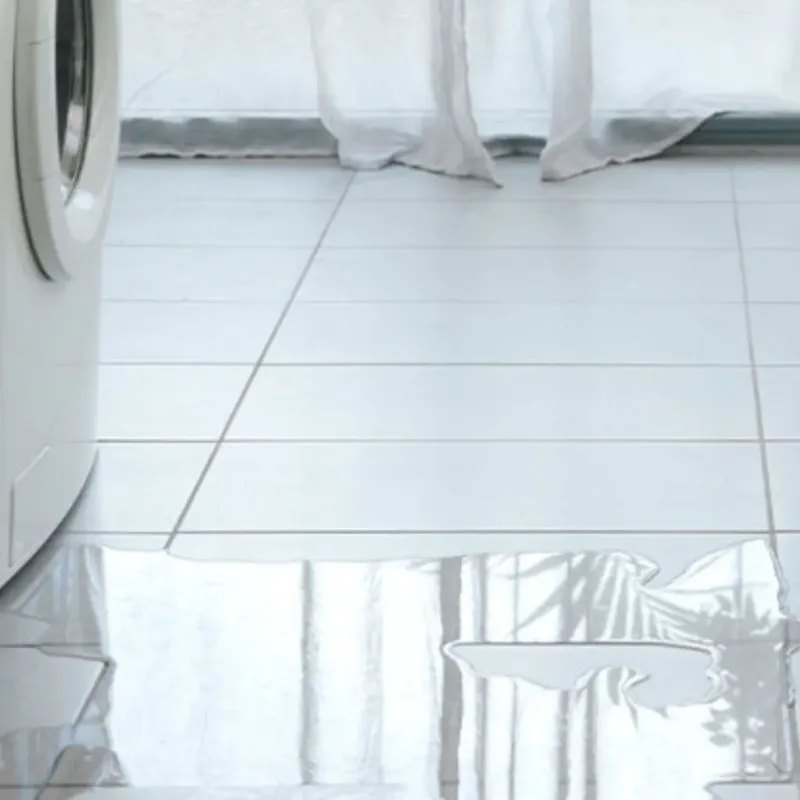 Appliance Leak Cleanup in Newton, IA