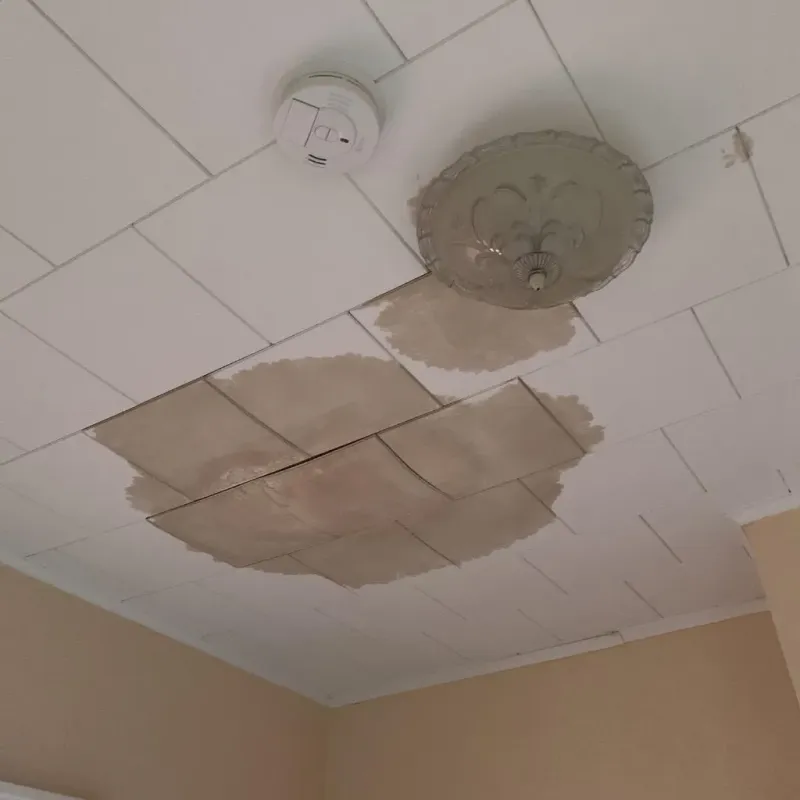 Ceiling Water Damage Repair in Newton, IA