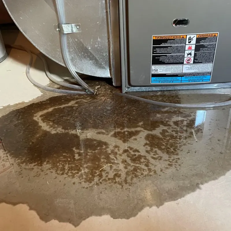 Pipe Burst and Leak Restoration in Newton, IA