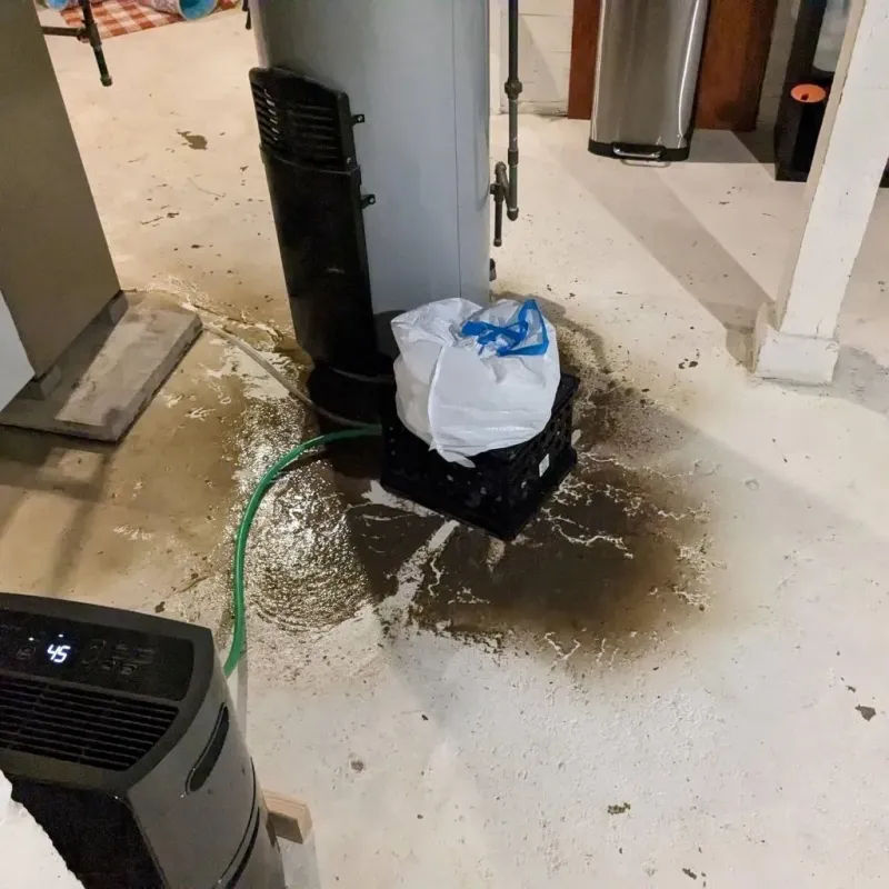 Sewage Backup Cleanup Service in Newton, IA